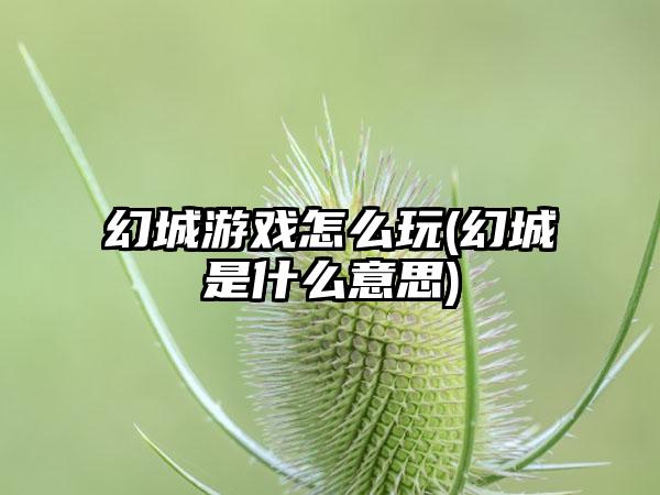 幻城游戏怎么玩(幻城是什么意思)