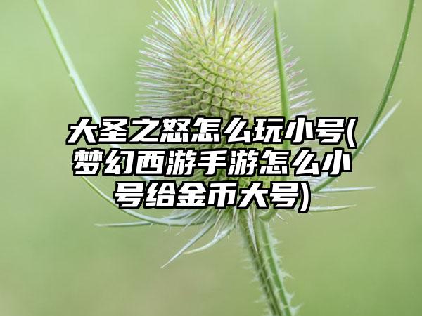 大圣之怒怎么玩小号(梦幻西游手游怎么小号给金币大号)