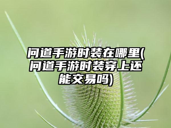 问道手游时装在哪里(问道手游时装穿上还能交易吗)