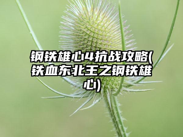 钢铁雄心4抗战攻略(铁血东北王之钢铁雄心)