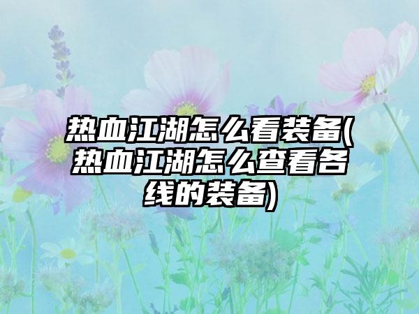 热血江湖怎么看装备(热血江湖怎么查看各线的装备)