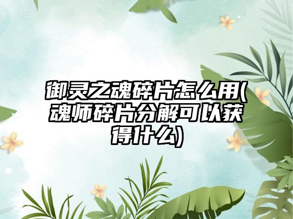 御灵之魂碎片怎么用(魂师碎片分解可以获得什么)