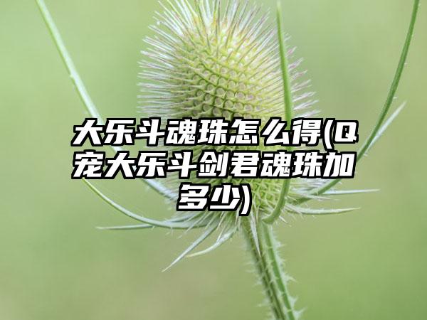 大乐斗魂珠怎么得(q宠大乐斗剑君魂珠加多少)