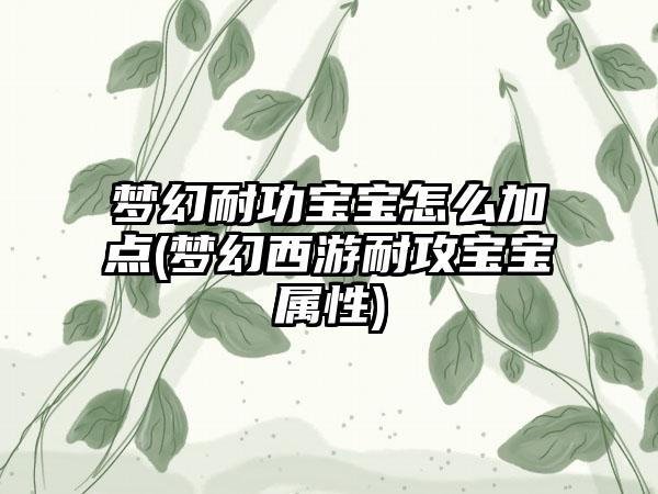 梦幻耐功宝宝怎么加点(梦幻西游耐攻宝宝属性)