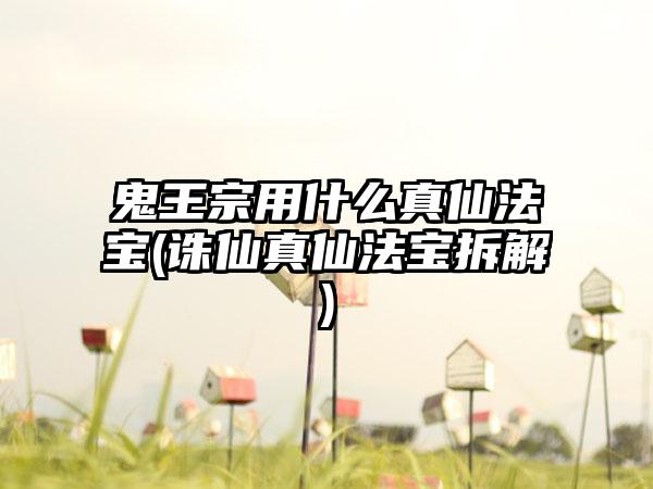 鬼王宗用什么真仙法宝(诛仙真仙法宝拆解)