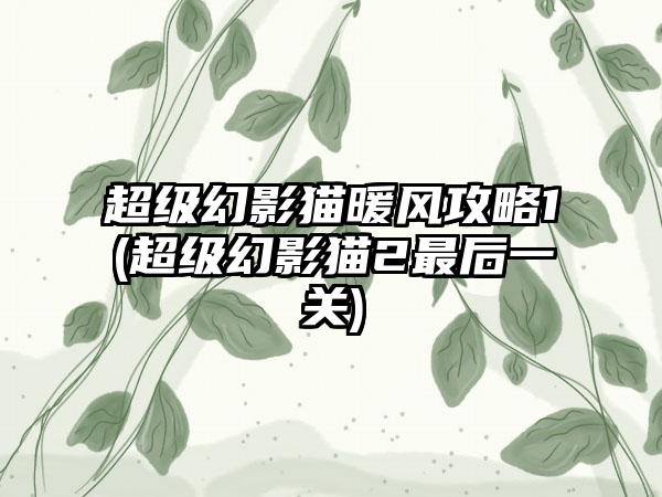 超级幻影猫暖风攻略1(超级幻影猫2最后一关)