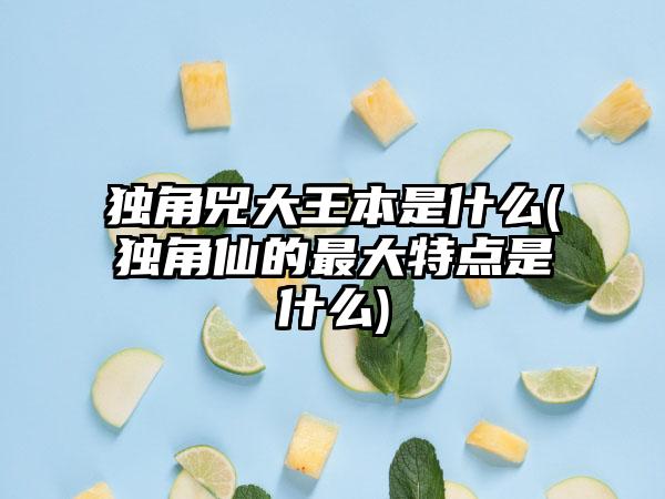 独角兕大王本是什么(独角仙的最大特点是什么)