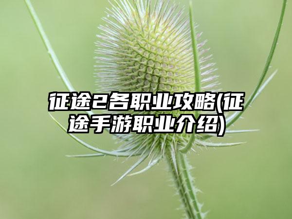 征途2各职业攻略(征途手游职业介绍)