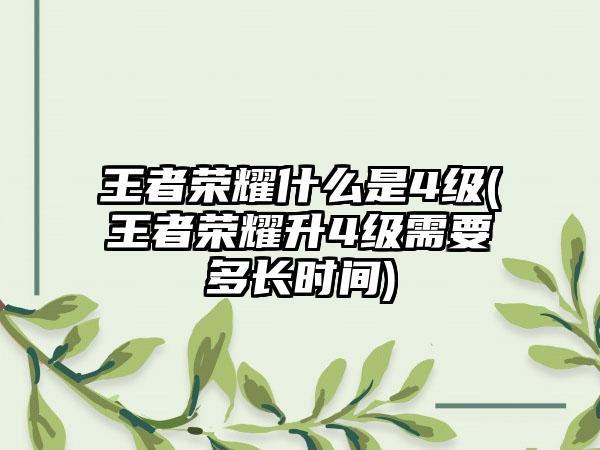 王者荣耀什么是4级(王者荣耀升4级需要多长时间)