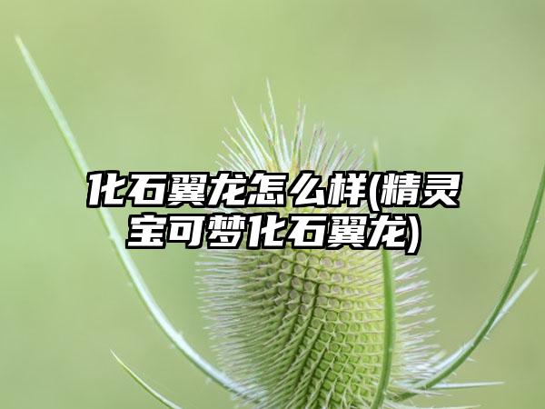 化石翼龙怎么样(精灵宝可梦化石翼龙)