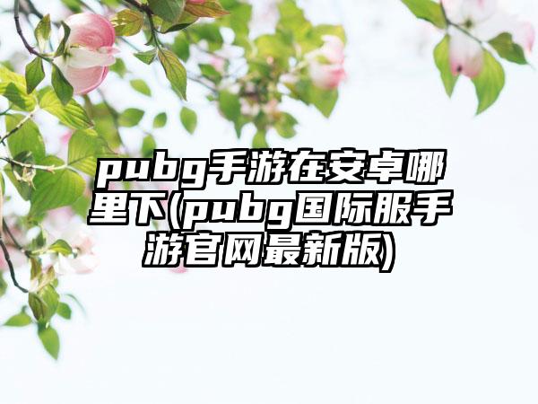 pubg手游在安卓哪里下(pubg国际服手游pg网赌软件官网最新版)